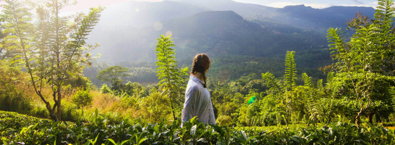 The Simplest Way To Get The Godness